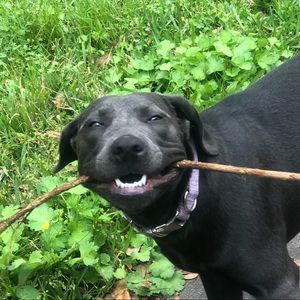 Meet your Posher, Haley